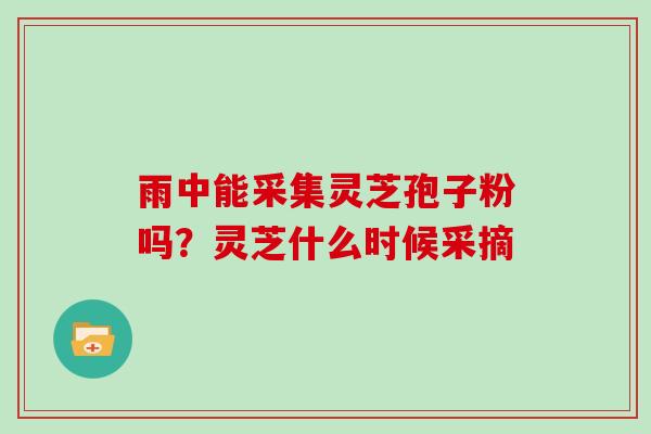 雨中能采集灵芝孢子粉吗？灵芝什么时候采摘