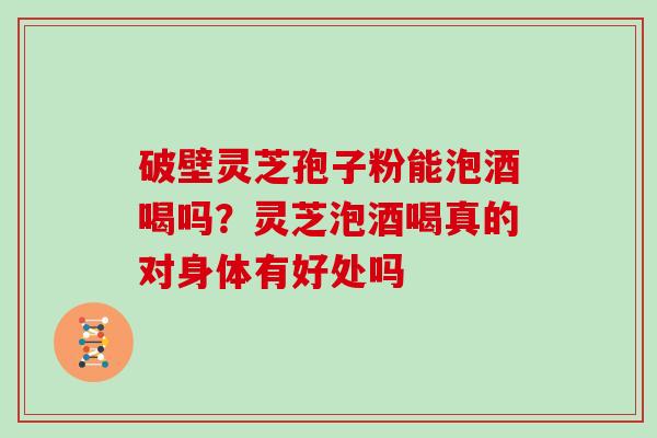 破壁灵芝孢子粉能泡酒喝吗?灵芝泡酒喝真的对身体有好处吗
