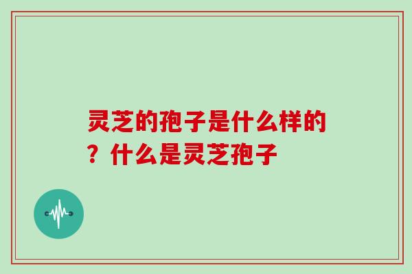 灵芝的孢子是什么样的?什么是灵芝孢子