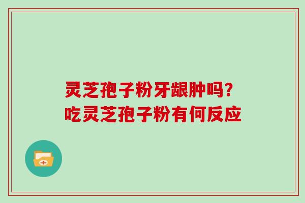 灵芝孢子粉牙龈肿吗？吃灵芝孢子粉有何反应