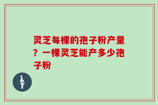 灵芝每棵的孢子粉产量?一棵灵芝能产多少孢子粉
