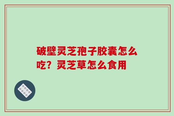 破壁灵芝孢子胶囊怎么吃?灵芝草怎么食用