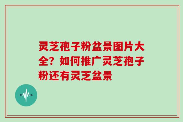 灵芝孢子粉盆景图片大全?如何推广灵芝孢子粉还有灵芝盆景