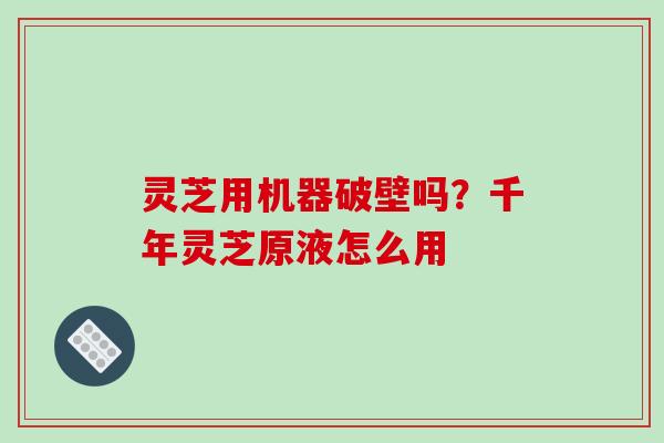 灵芝用机器破壁吗？千年灵芝原液怎么用