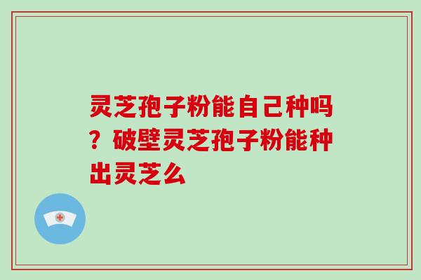 灵芝孢子粉能自己种吗?破壁灵芝孢子粉能种出灵芝么