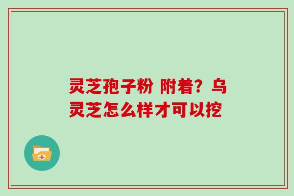 灵芝孢子粉 附着？乌灵芝怎么样才可以挖