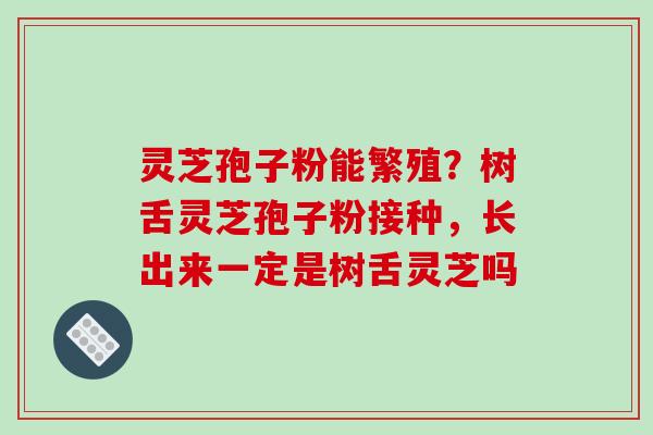 灵芝孢子粉能繁殖?树舌灵芝孢子粉接种,长出来一定是树舌灵芝吗
