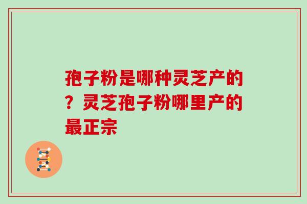 孢子粉是哪种灵芝产的？灵芝孢子粉哪里产的最正宗