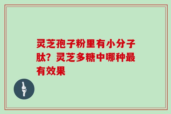 灵芝孢子粉里有小分子肽?灵芝多糖中哪种最有效果