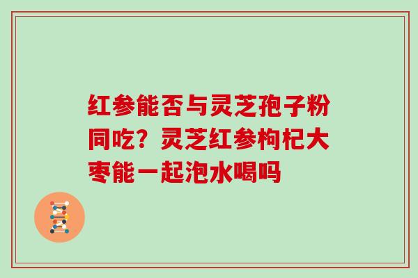 红参能否与灵芝孢子粉同吃?灵芝红参枸杞大枣能一起泡水喝吗