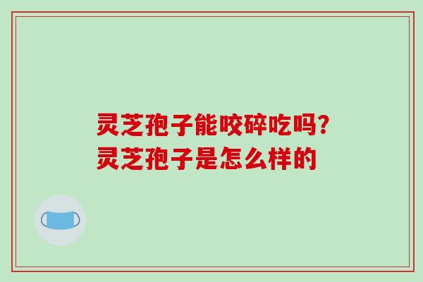 灵芝孢子能咬碎吃吗?灵芝孢子是怎么样的
