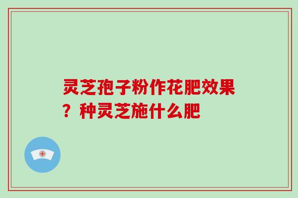 灵芝孢子粉作花肥效果？种灵芝施什么肥