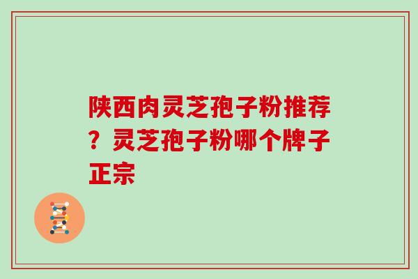 陕西肉灵芝孢子粉推荐?灵芝孢子粉哪个牌子正宗