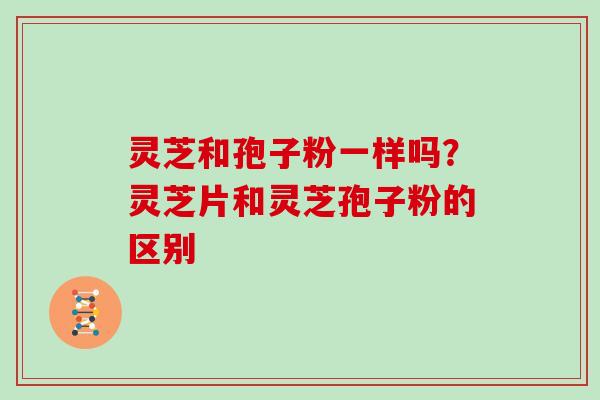 灵芝和孢子粉一样吗？灵芝片和灵芝孢子粉的区别