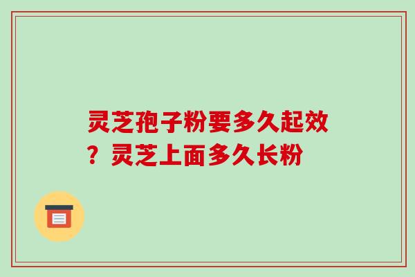 灵芝孢子粉要多久起效?灵芝上面多久长粉