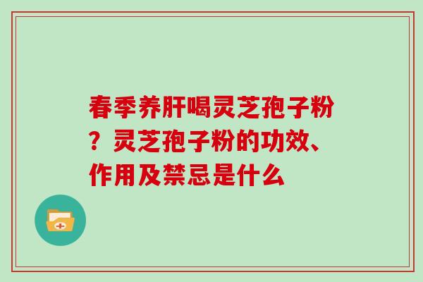 春季养肝喝灵芝孢子粉?灵芝孢子粉的功效、作用及禁忌是什么