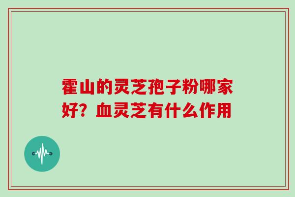 霍山的灵芝孢子粉哪家好?血灵芝有什么作用