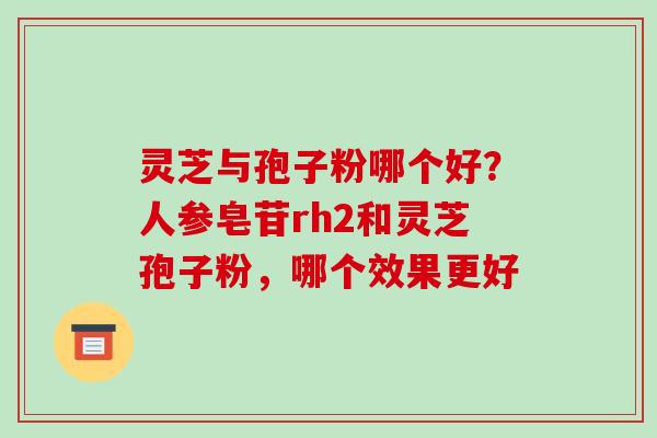 灵芝与孢子粉哪个好？人参皂苷rh2和灵芝孢子粉，哪个效果更好