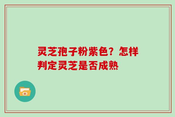 灵芝孢子粉紫色？怎样判定灵芝是否成熟