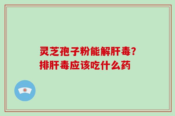 灵芝孢子粉能解肝毒?排肝毒应该吃什么药