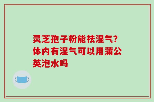 灵芝孢子粉能祛湿气?体内有湿气可以用蒲公英泡水吗