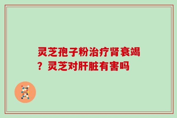 灵芝孢子粉治疗肾衰竭？灵芝对肝脏有害吗