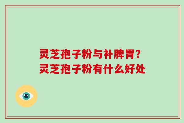 灵芝孢子粉与补脾胃？灵芝孢子粉有什么好处