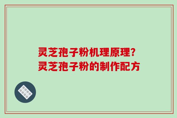 灵芝孢子粉机理原理?灵芝孢子粉的制作配方