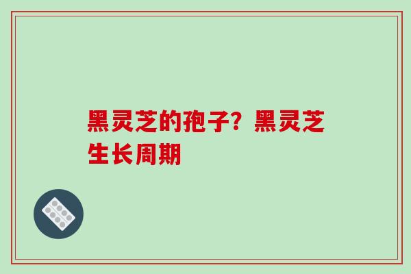 黑灵芝的孢子?黑灵芝生长周期