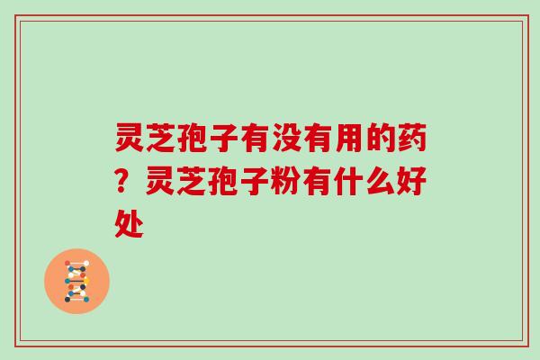 灵芝孢子有没有用的药?灵芝孢子粉有什么好处