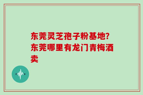 东莞灵芝孢子粉基地？东莞哪里有龙门青梅酒卖