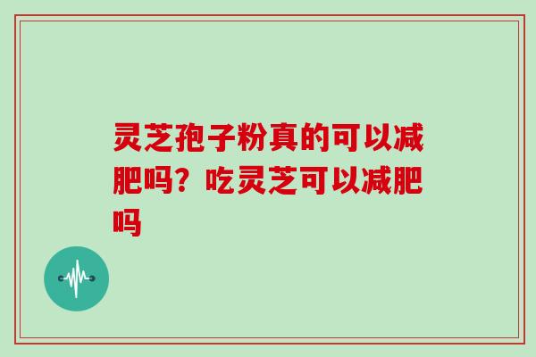 灵芝孢子粉真的可以减肥吗?吃灵芝可以减肥吗