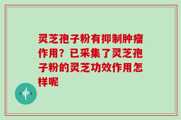 灵芝孢子粉有抑制肿瘤作用？已采集了灵芝孢子粉的灵芝功效作用怎样呢