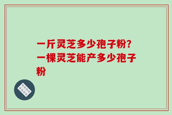 一斤灵芝多少孢子粉?一棵灵芝能产多少孢子粉