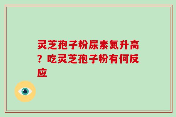 灵芝孢子粉尿素氮升高?吃灵芝孢子粉有何反应