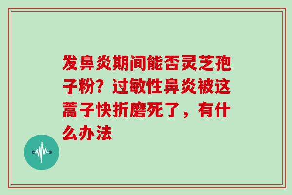发鼻炎期间能否灵芝孢子粉?过敏性鼻炎被这蒿子快折磨死了,有什么办法