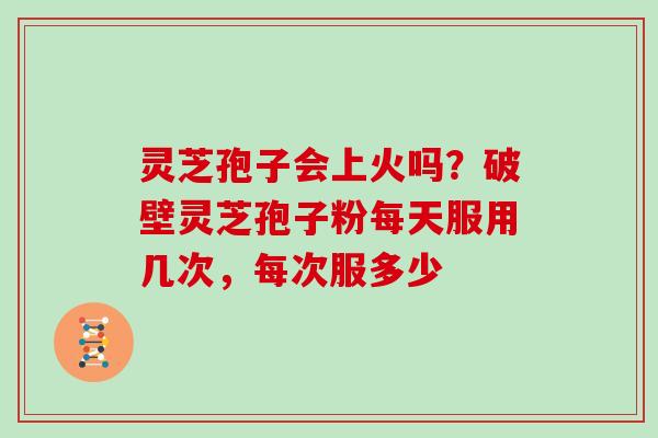灵芝孢子会上火吗?破壁灵芝孢子粉每天服用几次,每次服多少