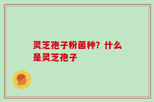 灵芝孢子粉菌种？什么是灵芝孢子