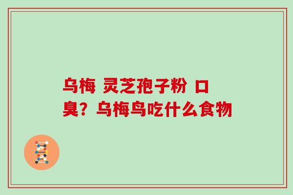 乌梅 灵芝孢子粉 口臭?乌梅鸟吃什么食物