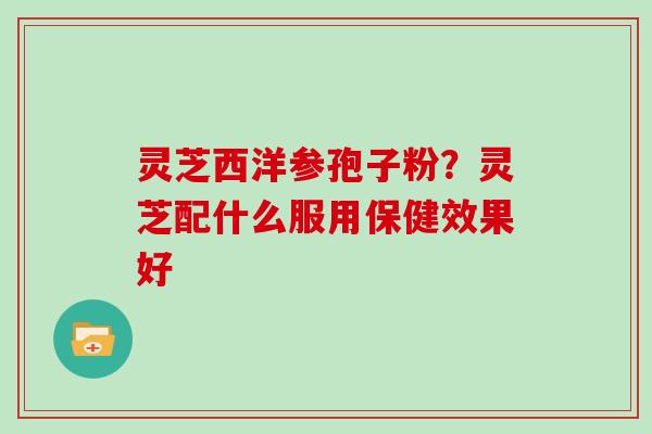 灵芝西洋参孢子粉?灵芝配什么服用保健效果好