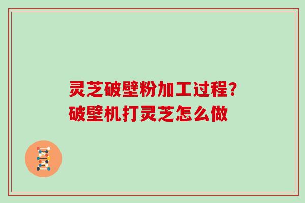 灵芝破壁粉加工过程?破壁机打灵芝怎么做