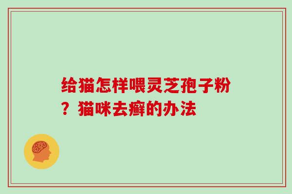 给猫怎样喂灵芝孢子粉？猫咪去癣的办法