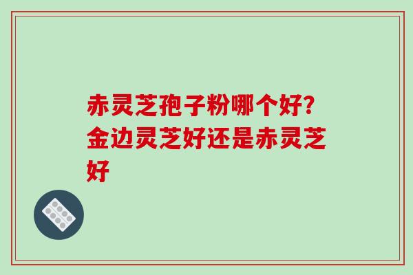 赤灵芝孢子粉哪个好？金边灵芝好还是赤灵芝好