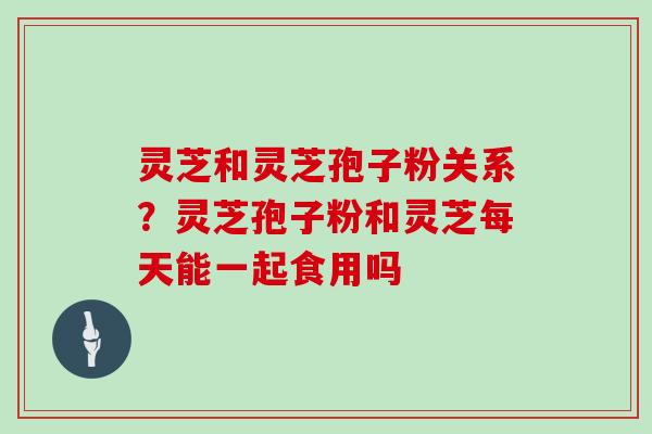 灵芝和灵芝孢子粉关系?灵芝孢子粉和灵芝每天能一起食用吗