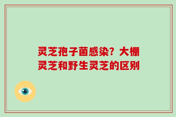 灵芝孢子菌感染?大棚灵芝和野生灵芝的区别