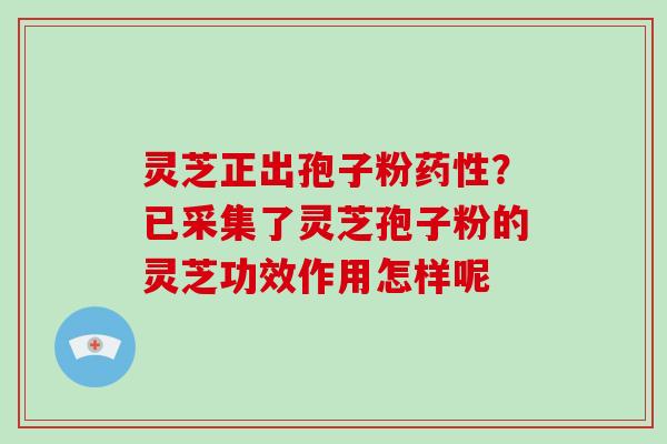 灵芝正出孢子粉药性?已采集了灵芝孢子粉的灵芝功效作用怎样呢
