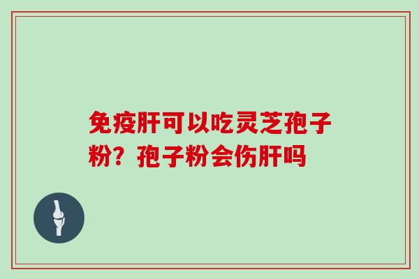 免疫肝可以吃灵芝孢子粉?孢子粉会伤肝吗