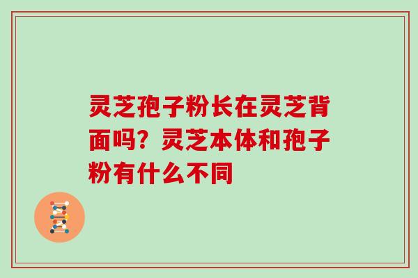 灵芝孢子粉长在灵芝背面吗？灵芝本体和孢子粉有什么不同