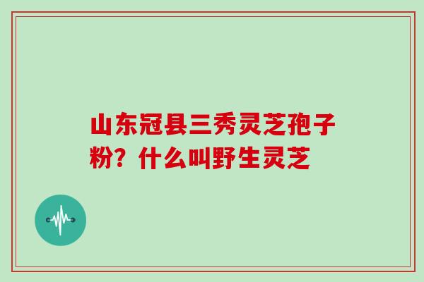 山东冠县三秀灵芝孢子粉?什么叫野生灵芝
