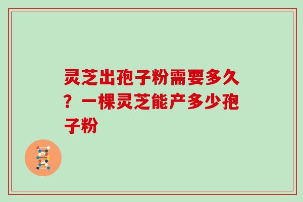 灵芝出孢子粉需要多久？一棵灵芝能产多少孢子粉
